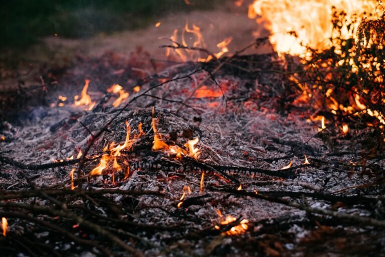 Adolescente é levado a delegacia por suspeita de incêndio em Belterra