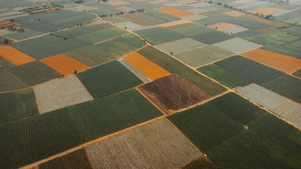 Brasil importou 15 mil toneladas de agrotóxicos proibidos na UE, diz Oxfam
