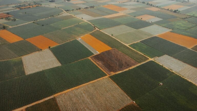 Brasil importou 15 mil toneladas de agrotóxicos proibidos na UE, diz Oxfam