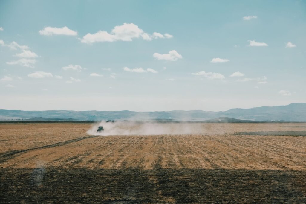 Câmara aprova incentivos para produção de cana no Nordeste
