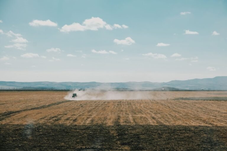 Câmara aprova incentivos para produção de cana no Nordeste
