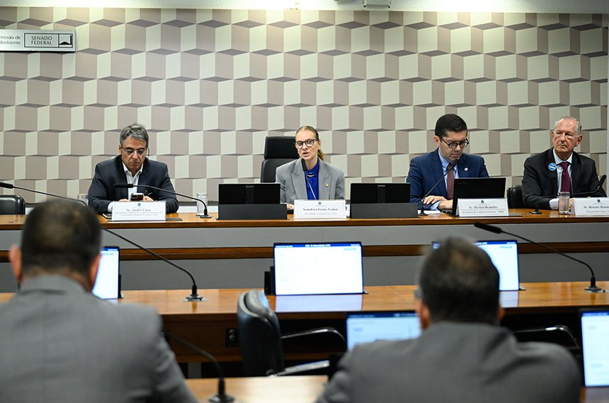 CMA debate reflexos do tarifaço dos EUA e desafios das terras-raras