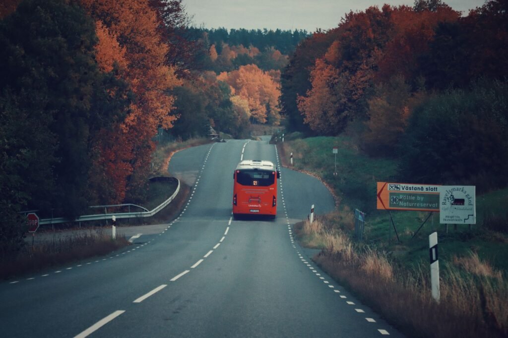 Como usar o transporte gratuito para votar em outra cidade no Estado
