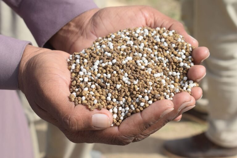 Embrapa e Sabesp transformam lodo de tratamento de água em fertilizante