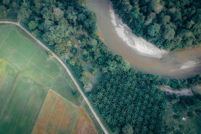 Estudo mapeia áreas mais vulneráveis à poluição difusa do agro