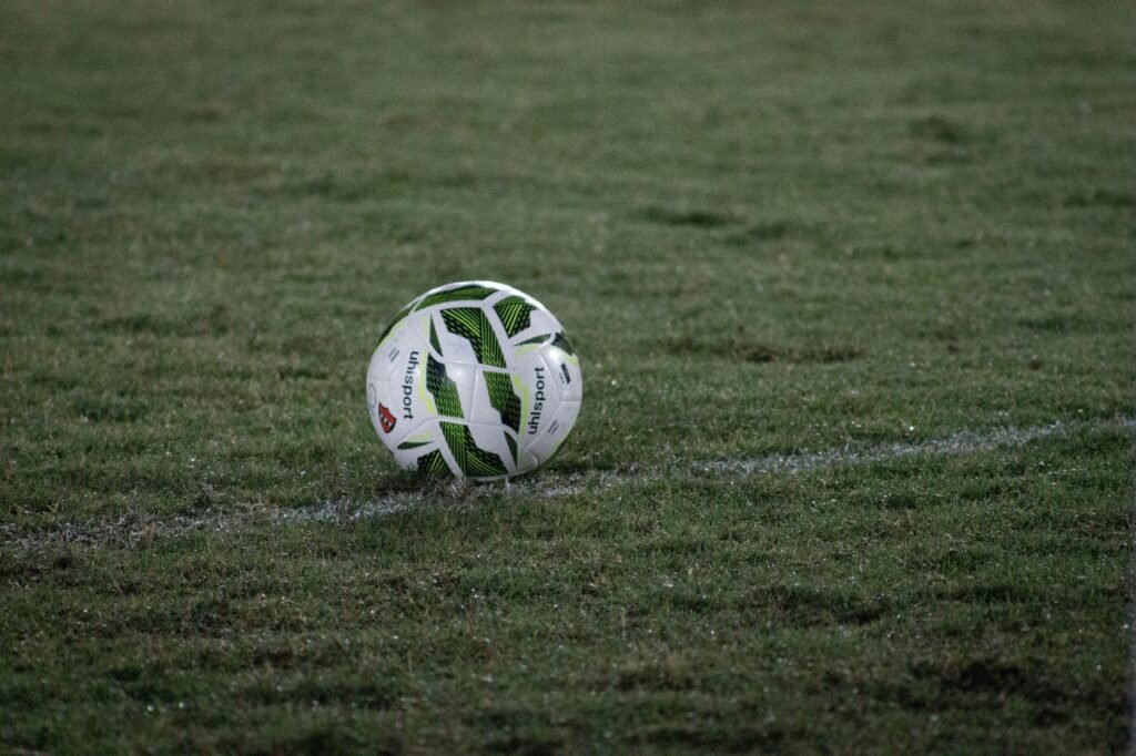 Flamengo tem 69% de chances de título no Brasileirão; Palmeiras aparece com 31%