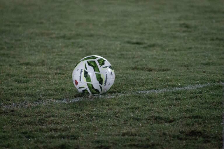 Flamengo tem 69% de chances de título no Brasileirão; Palmeiras aparece com 31%