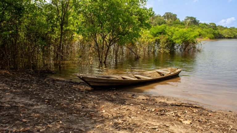 Homem é resgatado após passar 25 dias perdido em reserva no AM