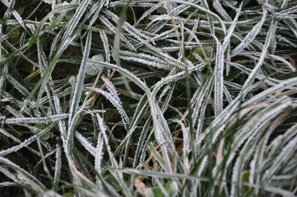 Massa de ar frio mantém temperaturas baixas e risco de geada no Sul