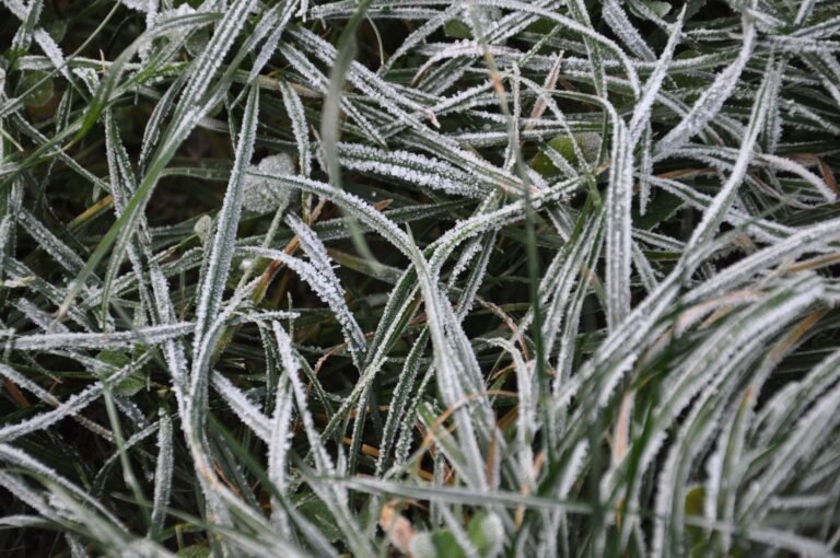 Massa de ar frio mantém temperaturas baixas e risco de geada no Sul