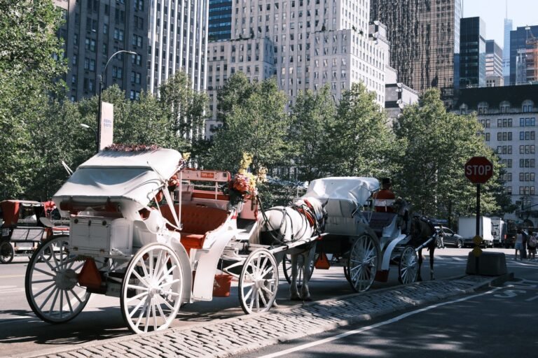 Nova York proíbe passeios com carruagens puxadas por cavalos
