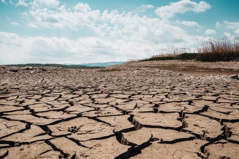 Oeiras chega a 42 ºC e registra a temperatura mais alta do país