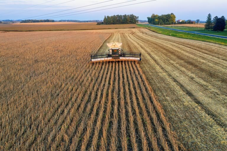 Pedidos de recuperação judicial no agro caem no 2º trimestre
