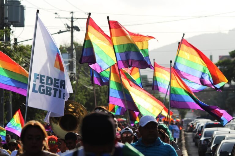 projeto cria política nacional de incentivo às paradas do orgulho lgbtqia+