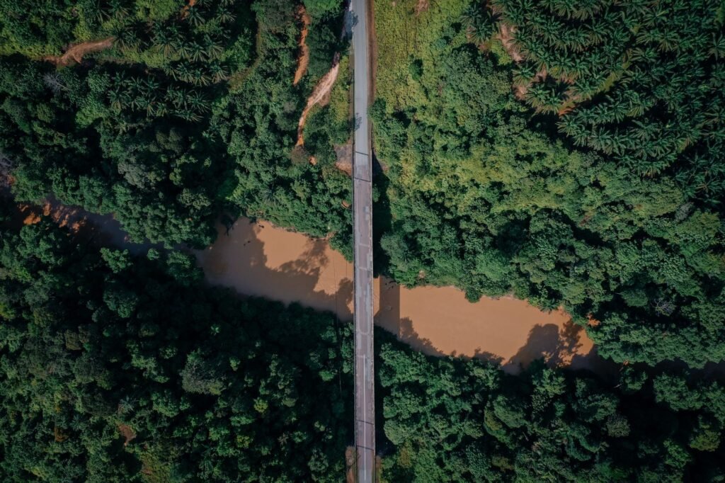 Proposta destina valores de multas à proteção da fauna em rodovias